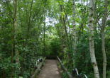 Gillespie park trail